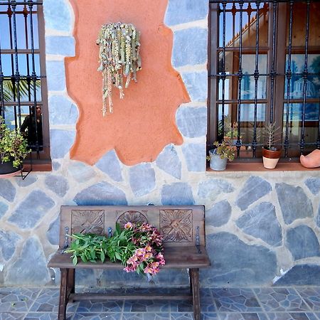 Finquita La Villa อิคอดเดลอสวินอส ภายนอก รูปภาพ