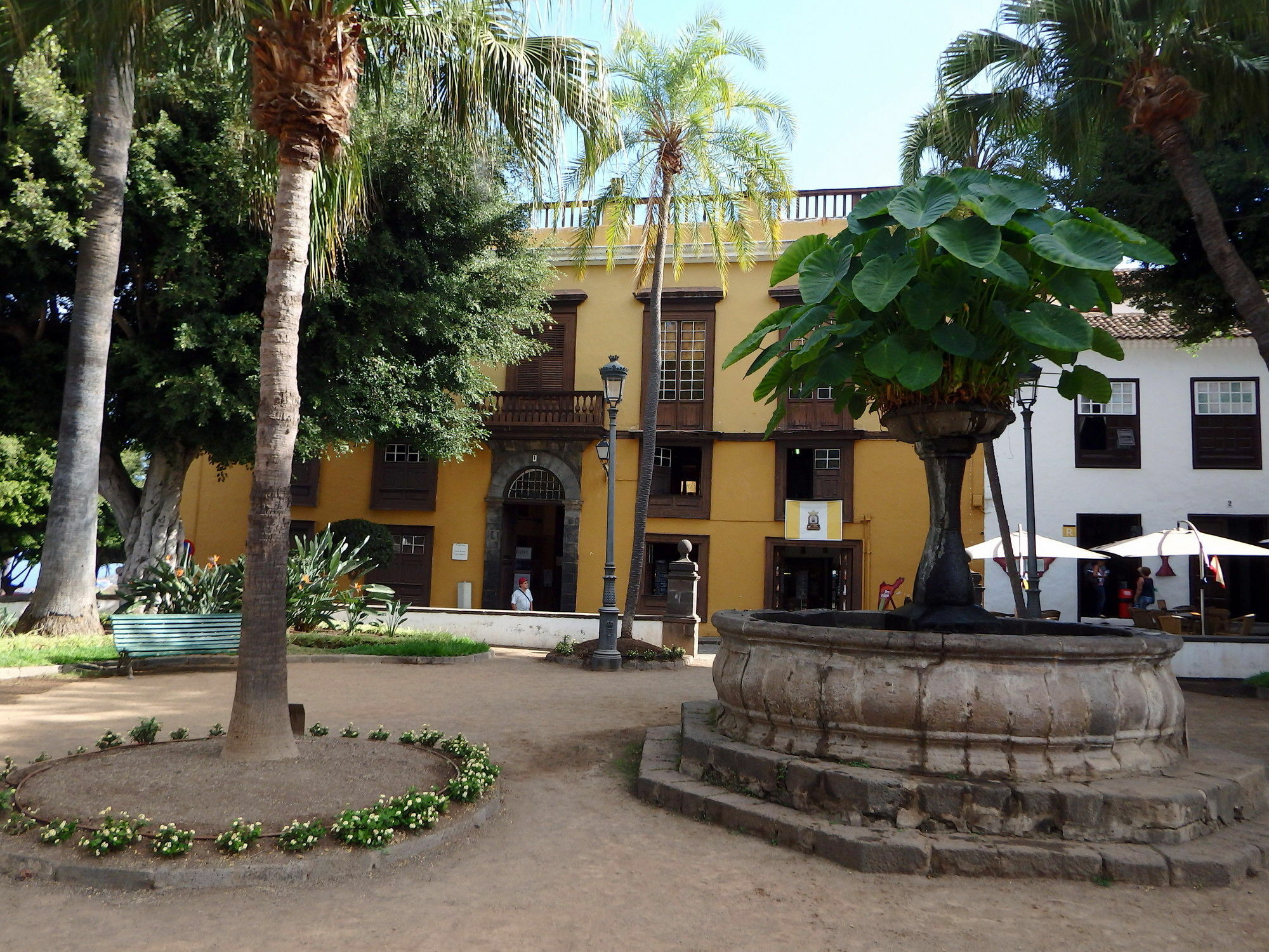 Finquita La Villa อิคอดเดลอสวินอส ภายนอก รูปภาพ